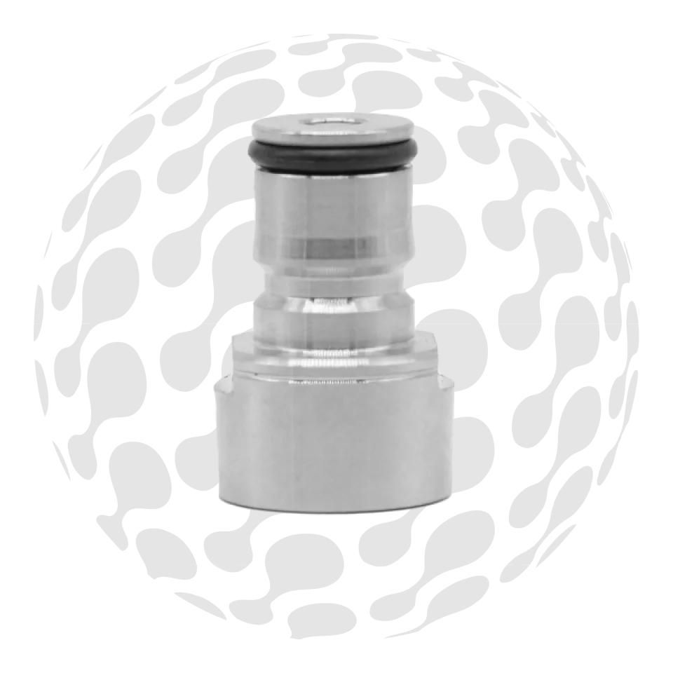 BSP Male-Female Gas Fitting