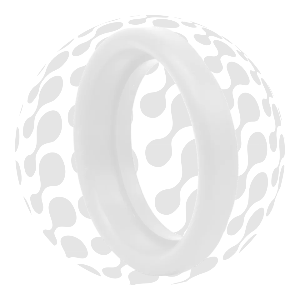 RJT Stepped PTFE Seal