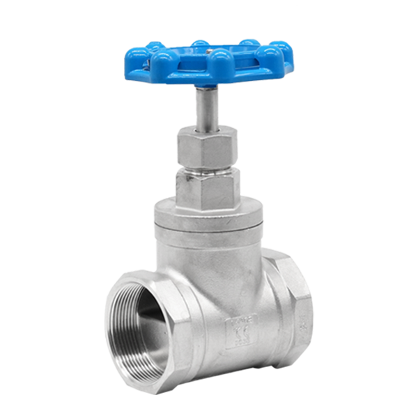 BSP Globe Valve