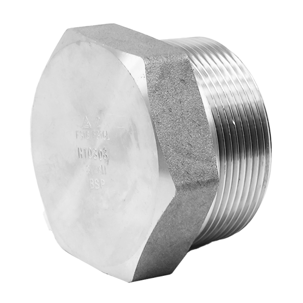 3000LB BSP Hex Plug