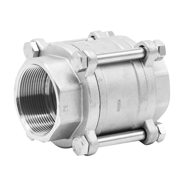 BSP 3pc Spring Check Valve