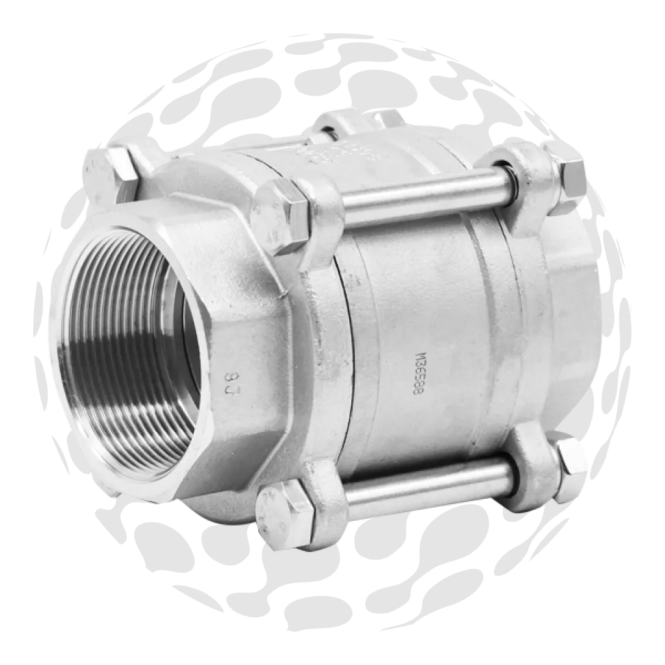 BSP 3pc Spring Check Valve