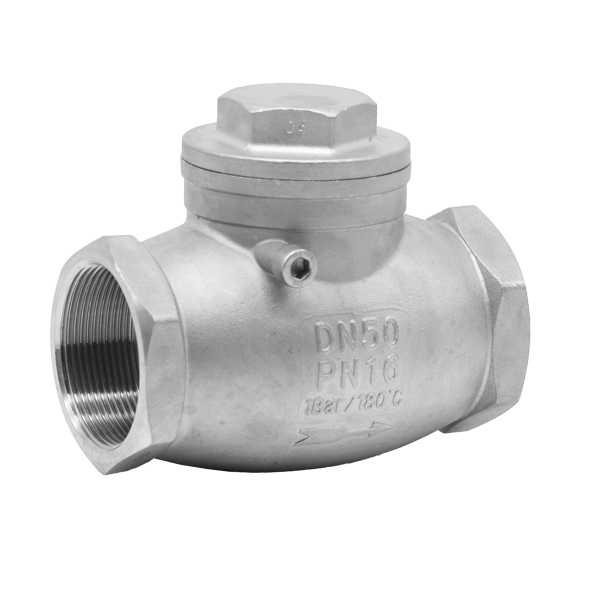 BSP Vertical Swing Check Valve